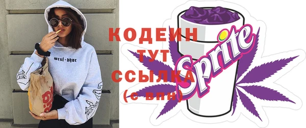 трава Няндома