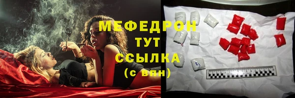 трава Няндома