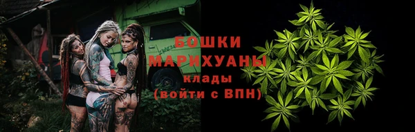 трава Новодвинск