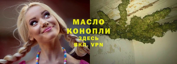 сатива Новокубанск