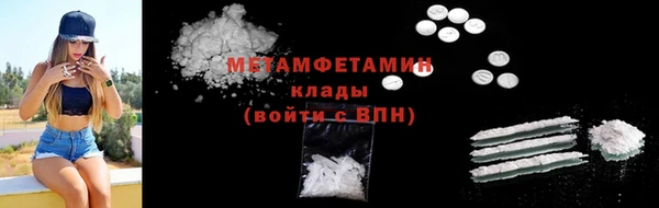 сатива Новокубанск