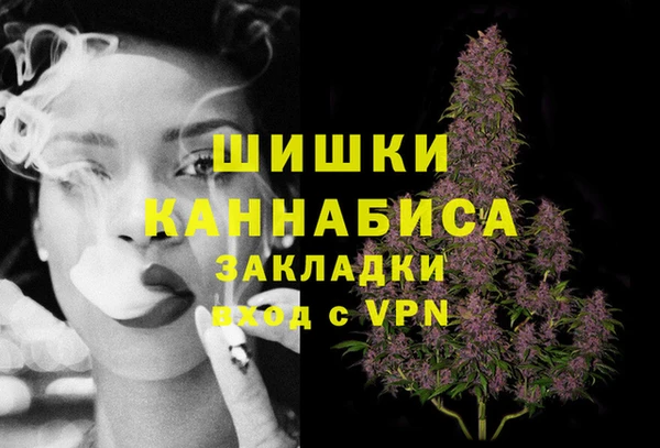 трава Новодвинск