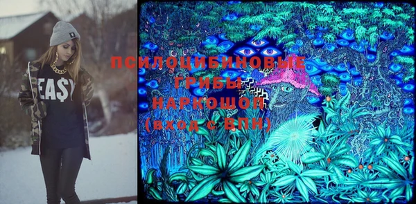 трава Няндома