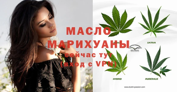 сатива Новокубанск