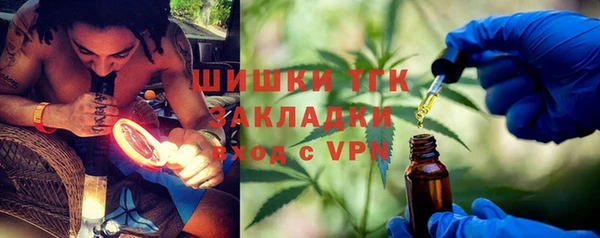сатива Новокубанск