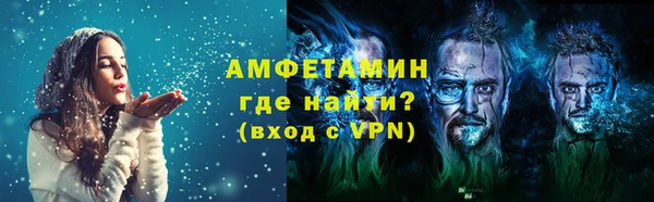 сатива Новокубанск