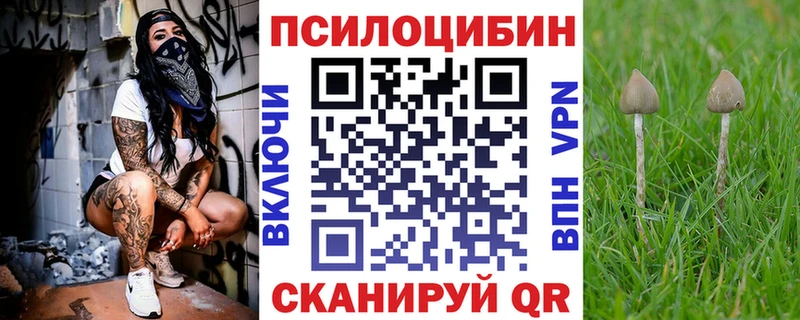 Галлюциногенные грибы Psilocybine cubensis Ахтырский