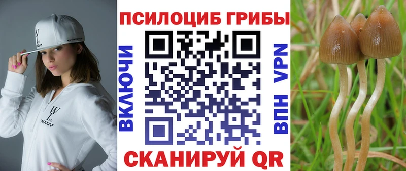 цена наркотик  Ахтырский  сайты даркнета телеграм  Галлюциногенные грибы MAGIC MUSHROOMS 